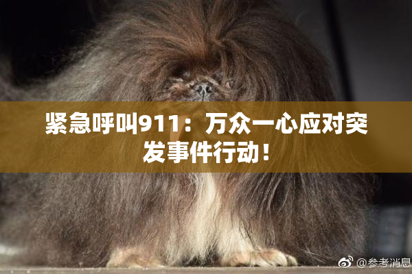 紧急呼叫911：万众一心应对突发事件行动！