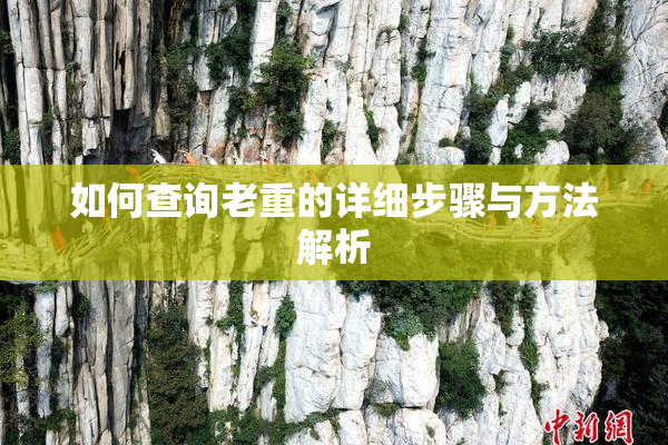 如何查询老重的详细步骤与方法解析