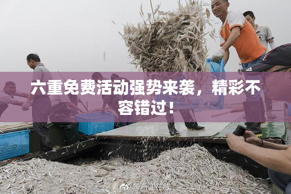 六重免费活动强势来袭，精彩不容错过！