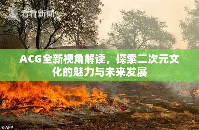 ACG全新视角解读，探索二次元文化的魅力与未来发展