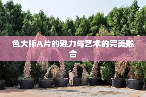 色大师A片的魅力与艺术的完美融合