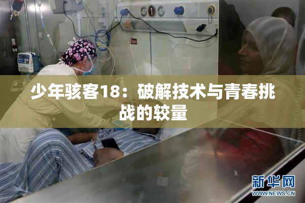 少年骇客18：破解技术与青春挑战的较量