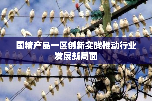 国精产品一区创新实践推动行业发展新局面