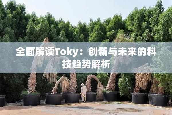 全面解读Toky：创新与未来的科技趋势解析