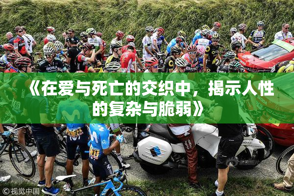 《在爱与死亡的交织中，揭示人性的复杂与脆弱》