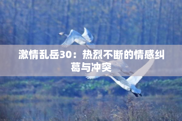 激情乱岳30：热烈不断的情感纠葛与冲突
