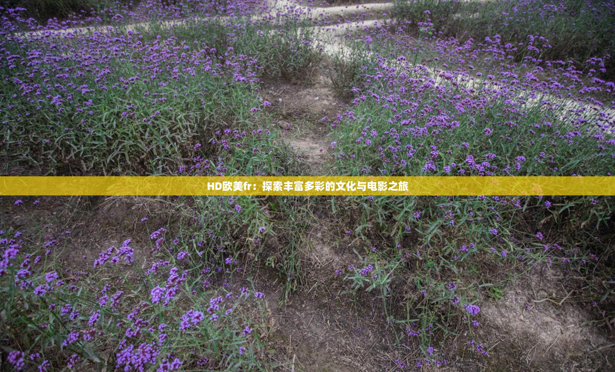 HD欧美fr：探索丰富多彩的文化与电影之旅