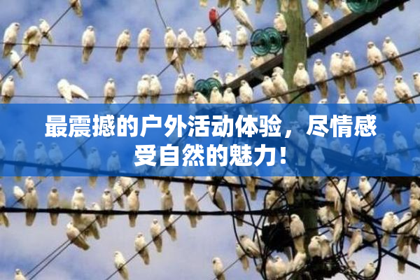 最震撼的户外活动体验，尽情感受自然的魅力！