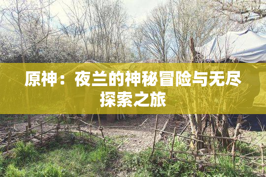 原神：夜兰的神秘冒险与无尽探索之旅