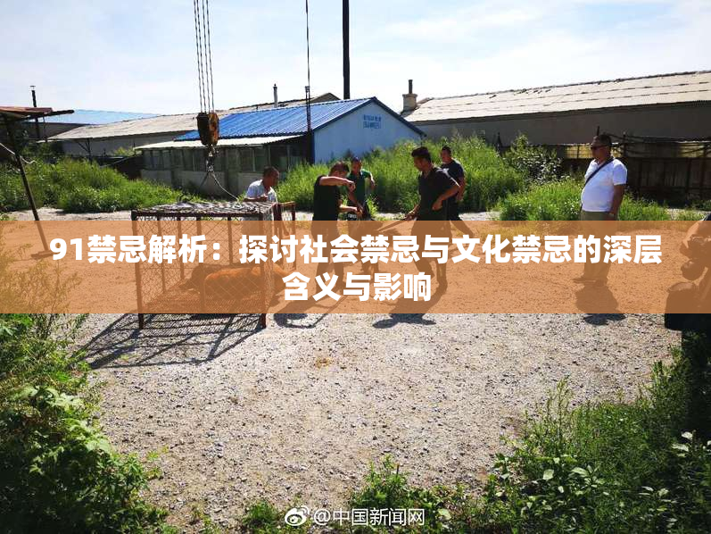 91禁忌解析：探讨社会禁忌与文化禁忌的深层含义与影响