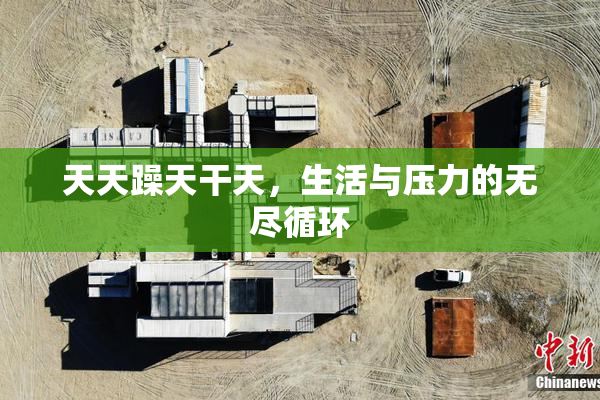 天天躁天干天，生活与压力的无尽循环