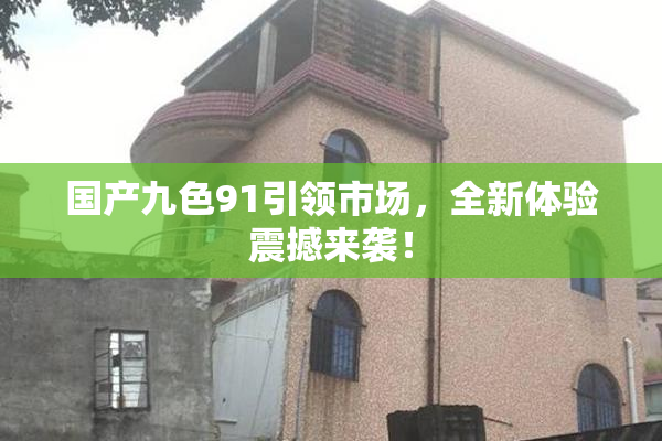 国产九色91引领市场，全新体验震撼来袭！