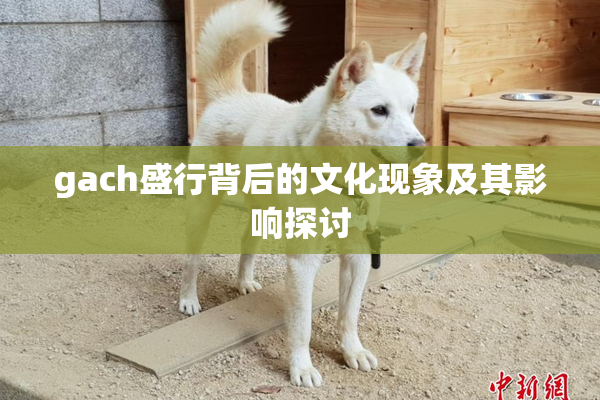 gach盛行背后的文化现象及其影响探讨