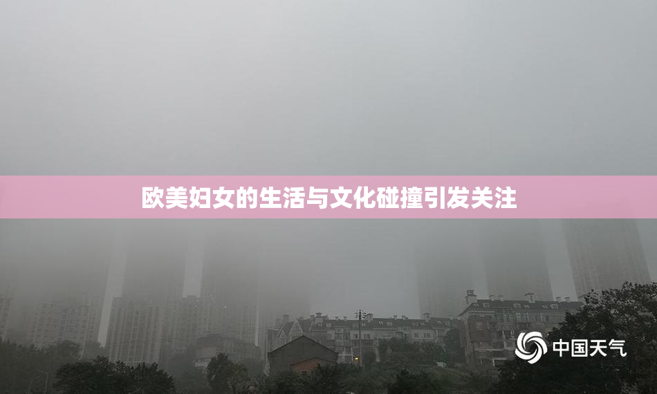 欧美妇女的生活与文化碰撞引发关注