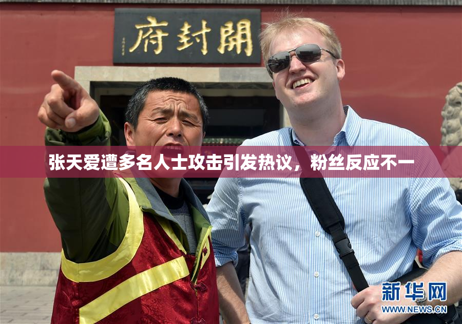 张天爱遭多名人士攻击引发热议，粉丝反应不一