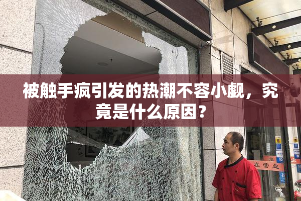 被触手疯引发的热潮不容小觑，究竟是什么原因？