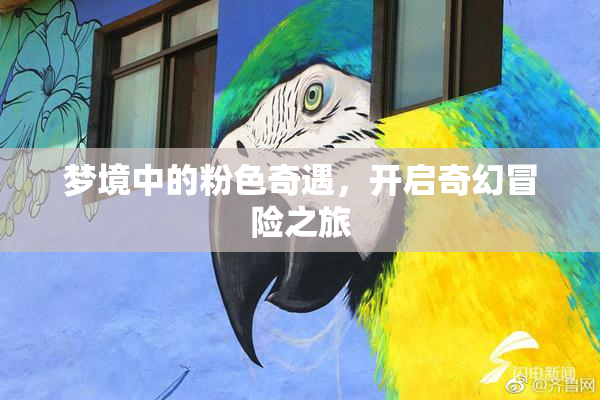 梦境中的粉色奇遇，开启奇幻冒险之旅