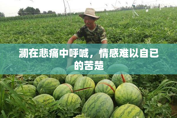 澜在悲痛中呼喊，情感难以自已的苦楚