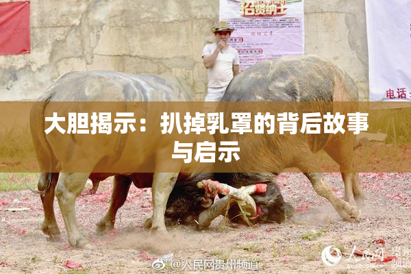 大胆揭示：扒掉乳罩的背后故事与启示