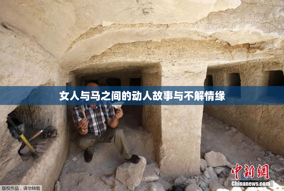 女人与马之间的动人故事与不解情缘