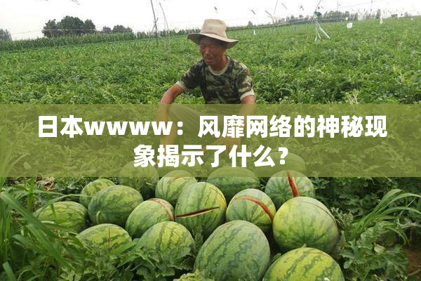 日本wwww：风靡网络的神秘现象揭示了什么？