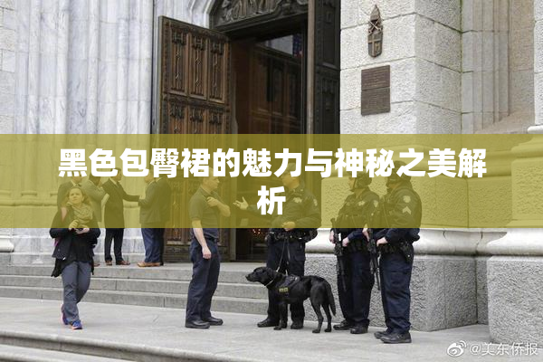 黑色包臀裙的魅力与神秘之美解析