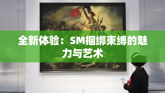 全新体验：SM捆绑束缚的魅力与艺术