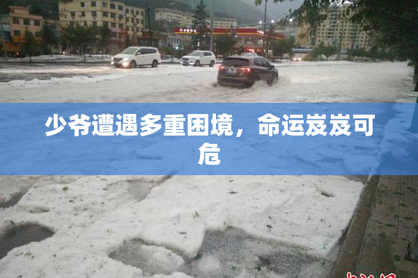 少爷遭遇多重困境，命运岌岌可危