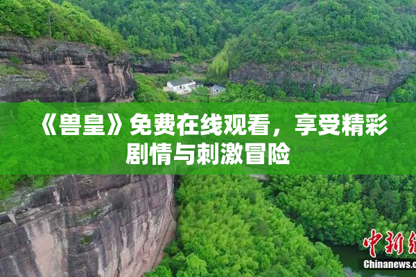 《兽皇》免费在线观看，享受精彩剧情与刺激冒险