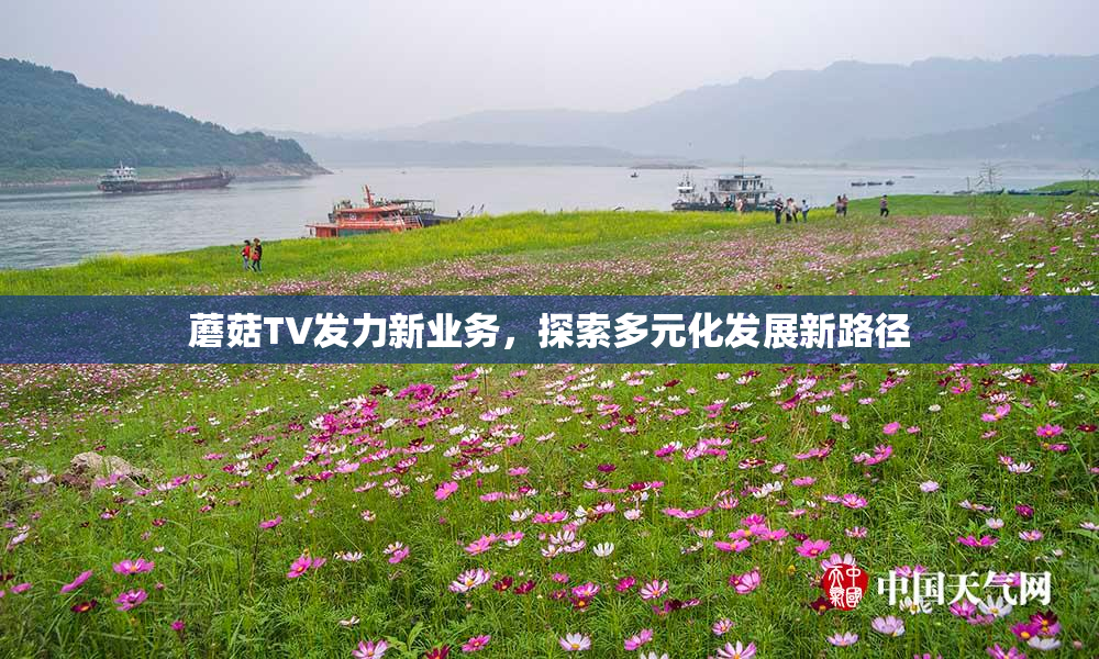 蘑菇TV发力新业务，探索多元化发展新路径