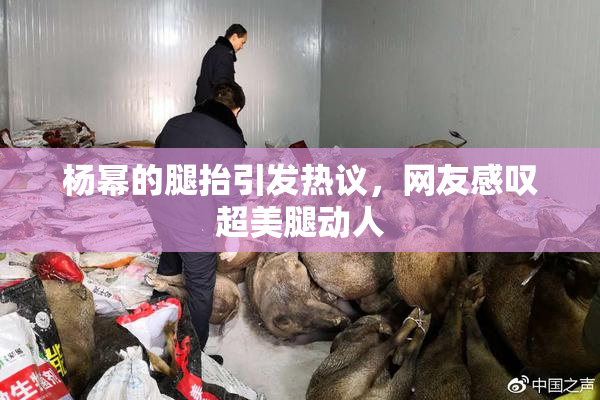 杨幂的腿抬引发热议，网友感叹超美腿动人