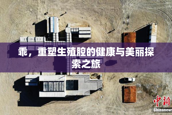 乖，重塑生殖腔的健康与美丽探索之旅