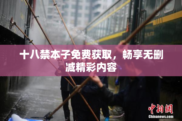 十八禁本子免费获取，畅享无删减精彩内容