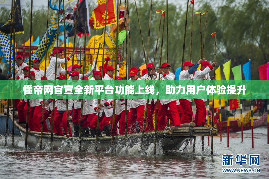 懂帝网官宣全新平台功能上线，助力用户体验提升