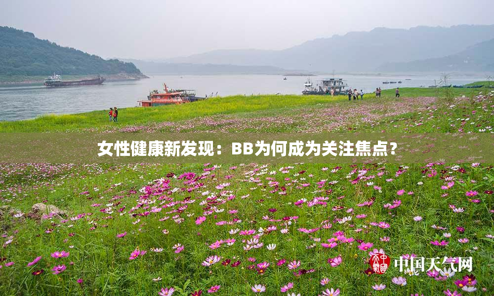 女性健康新发现：BB为何成为关注焦点？