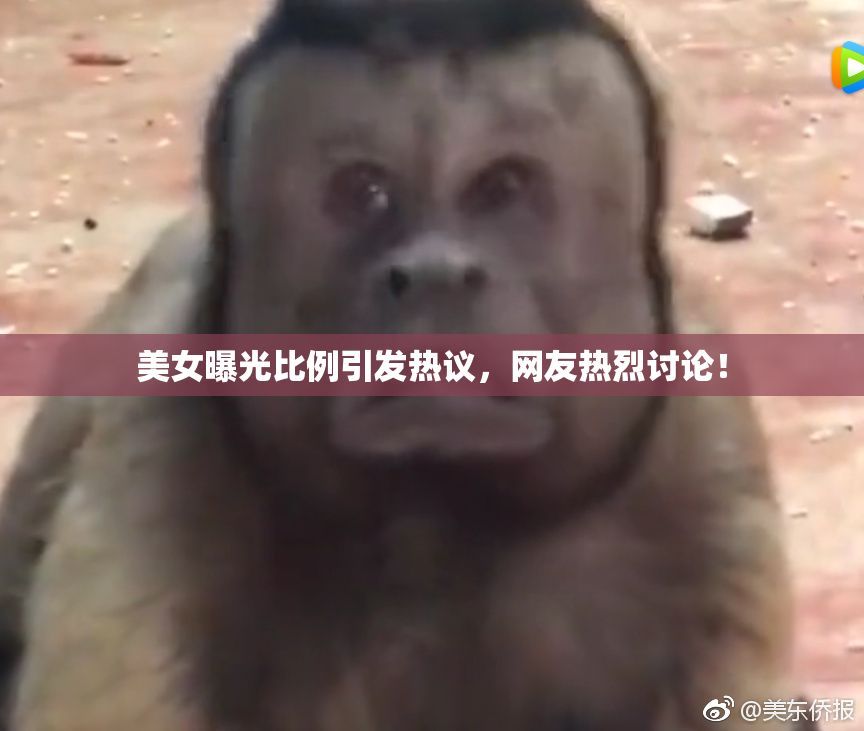 美女曝光比例引发热议，网友热烈讨论！