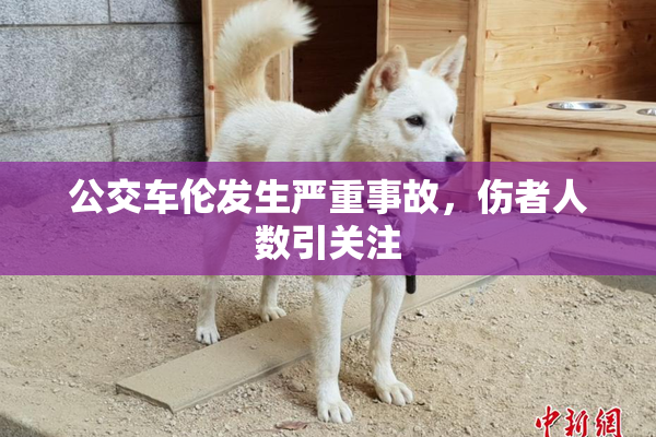 公交车伦发生严重事故，伤者人数引关注