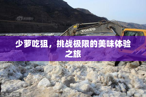 少萝吃狙，挑战极限的美味体验之旅