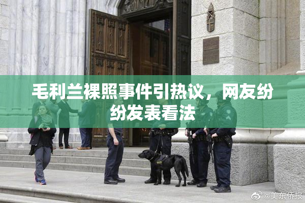 毛利兰裸照事件引热议，网友纷纷发表看法
