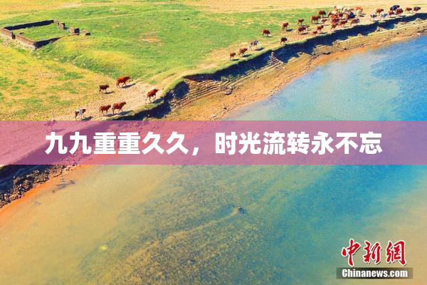 九九重重久久，时光流转永不忘