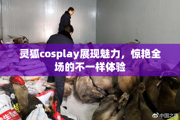 灵狐cosplay展现魅力，惊艳全场的不一样体验
