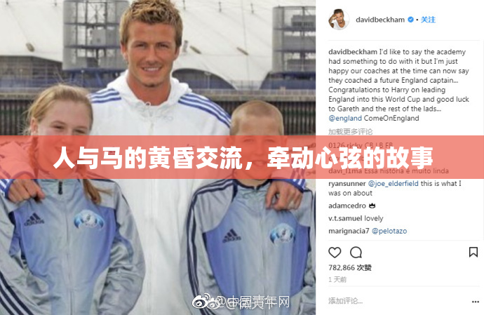 人与马的黄昏交流，牵动心弦的故事