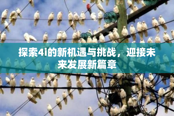 探索4i的新机遇与挑战，迎接未来发展新篇章