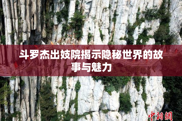 斗罗杰出妓院揭示隐秘世界的故事与魅力