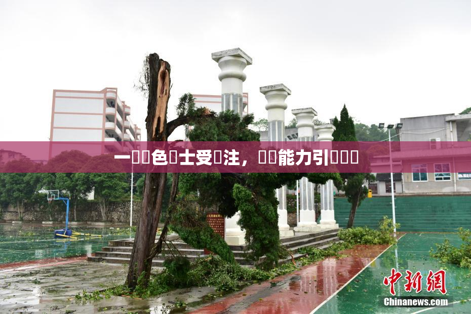 一級黃色護士受關注，專業能力引發熱議