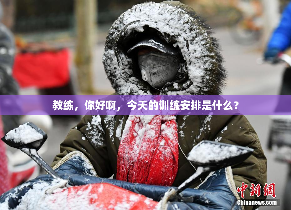 教练，你好啊，今天的训练安排是什么？