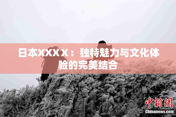 日本XXXⅩ：独特魅力与文化体验的完美结合