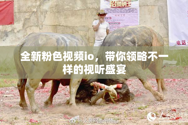 全新粉色视频io，带你领略不一样的视听盛宴