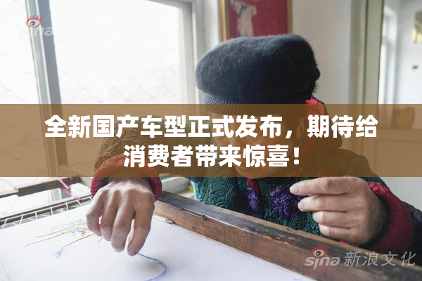 全新国产车型正式发布，期待给消费者带来惊喜！