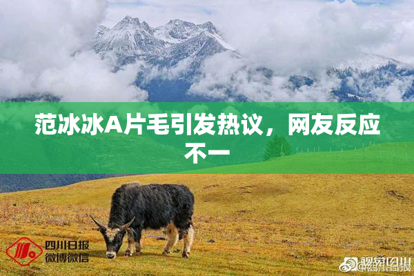 范冰冰A片毛引发热议，网友反应不一
